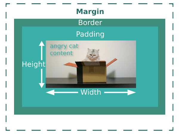 Box model sketch