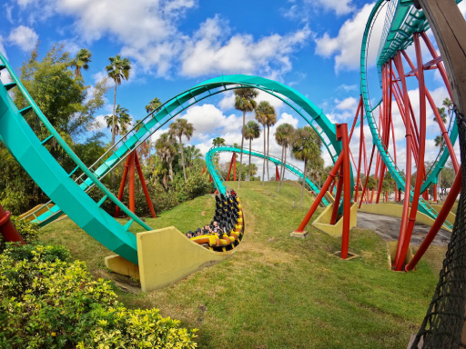 Roller Coaster image