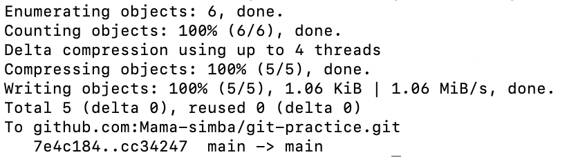 Git push result example